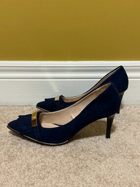 ALDO Navy Blue Pointed-Toe Heels with Gold Hardware